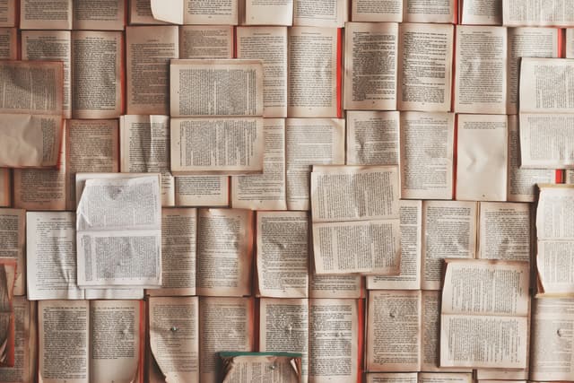 Week 16 - Final Project (Part 2): Knowledge Management